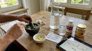 Blasenentzündung: Warum Knoblauch die bessere Antwort als das nächste Antibiotikum ist