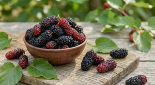 Maulbeerblätter – Wirkstoffe, Anwendungen und gesundheitliche Aspekte